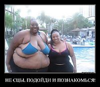 НЕ СЦЫ, ПОДОЙДИ И ПОЗНАКОМЬСЯ! 