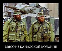 МЯСО ИЗ КАНАДСКОЙ КОЛОНИИ 