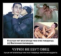 ЧУРКИ НЕ ЕБУТ ОВЕЦ лучше нет влагалища чем очко товарища. восточная мудрость