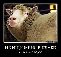 НЕ ИЩИ МЕНЯ В КЛУБЕ, ашан - я в сарае
