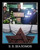 В. В. ШАЛОМОВ 
