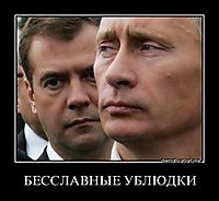 БЕССЛАВНЫЕ УБЛЮДКИ 