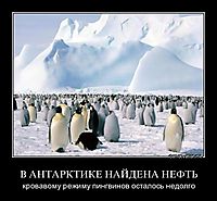 В АНТАРКТИКЕ НАЙДЕНА НЕФТЬ кровавому режиму пингвинов осталось недолго