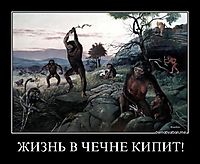 ЖИЗНЬ В ЧЕЧНЕ КИПИТ! 