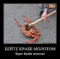 БЕЙТЕ КРАБЕ МОЛОТОМ будет Крабе золотом!