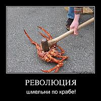 РЕВОЛЮЦИЯ шмельни по крабе!