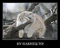 НУ НАКНЕЦ-ТО!
