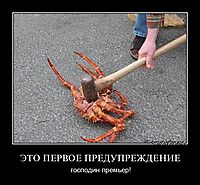 ЭТО ПЕРВОЕ ПРЕДУПРЕЖДЕНИЕ господин премьер!