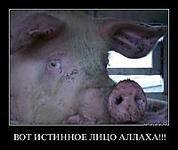 ВОТ ИСТИННОЕ ЛИЦО АЛЛАХА!!! 