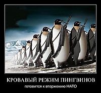 КРОВАВЫЙ РЕЖИМ ПИНГВИНОВ готовится к вторжению НАТО