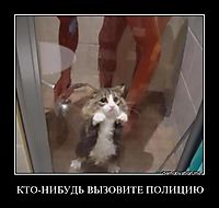 КТО-НИБУДЬ ВЫЗОВИТЕ ПОЛИЦИЮ 