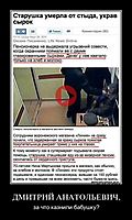 ДМИТРИЙ АНАТОЛЬЕВИЧ, за что казнили бабушку?