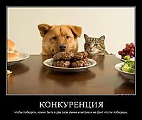 КОНКУРЕНЦИЯ чтобы победить, нужно быть в два раза умнее и хитрее и не факт что ты победишь.