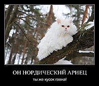 ОН НОРДИЧЕСКИЙ АРИЕЦ ты же кусок гавна!