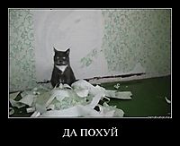 ДА ПОХУЙ 
