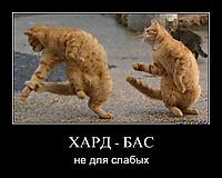 ХАРД - БАС не для слабых
