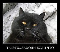 ТЫ ЭТО...ЗАХОДИ ЕСЛИ ЧТО 