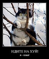 ИДИТЕ НА ХУЙ! я - сова!