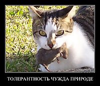 ТОЛЕРАНТНОСТЬ ЧУЖДА ПРИРОДЕ 