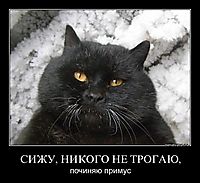 СИЖУ, НИКОГО НЕ ТРОГАЮ, починяю примус