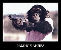 РАМИС ЧАНДРА 
