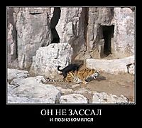 ОН НЕ ЗАССАЛ и познакомился