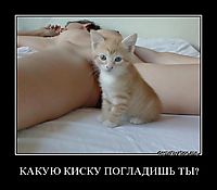 КАКУЮ КИСКУ ПОГЛАДИШЬ ТЫ? 
