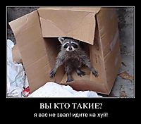 ВЫ КТО ТАКИЕ? я вас не звал! идите на хуй!