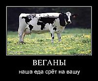 ВЕГАНЫ наша еда срёт на вашу