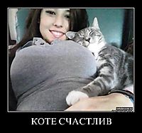 КОТЕ СЧАСТЛИВ