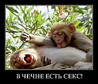 В ЧЕЧНЕ ЕСТЬ СЕКС! 