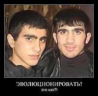 ЭВОЛЮЦИОНИРОВАТЬ? это как?!