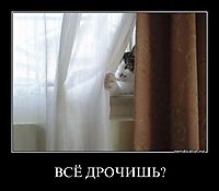 ВСЁ ДРОЧИШЬ? 