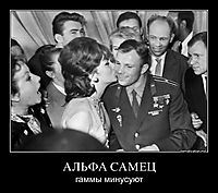 АЛЬФА САМЕЦ гаммы минусуют