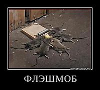 ФЛЭШМОБ 