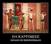 НА КАРТОШКЕ сильно не прокачаешься