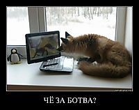 ЧЁ ЗА БОТВА? 