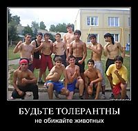 БУДЬТЕ ТОЛЕРАНТНЫ не обижайте животных
