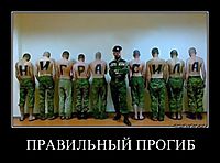ПРАВИЛЬНЫЙ ПРОГИБ 