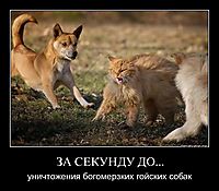 ЗА СЕКУНДУ ДО... уничтожения богомерзких гойских собак