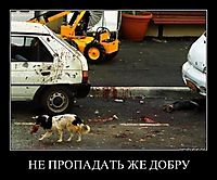 НЕ ПРОПАДАТЬ ЖЕ ДОБРУ 