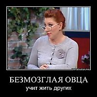 БЕЗМОЗГЛАЯ ОВЦА учит жить других