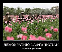 ДЕМОКРАТИЮ В АФГАНИСТАН героин в россию