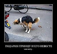 ПОДАРКИ ПРИНЦУ И ЕГО НЕВЕСТЕ чем могу...