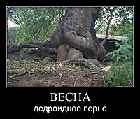 ВЕСНА дедроидное порно