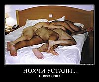 НОХЧИ УСТАЛИ... нохчи спят.