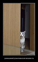 ДОМАШНИЙ ДЕМОТИВАТОР ОНАНИСТА 