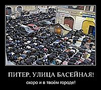 ПИТЕР, УЛИЦА БАСЕЙНАЯ! скоро и в твоём городе!