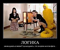 ЛОГИКА зачем думать о сессии? лучше думать, что за хуйня на этом фото...