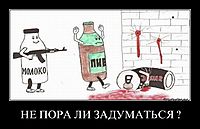 НЕ ПОРА ЛИ ЗАДУМАТЬСЯ ? 